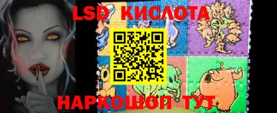 индика Славгород