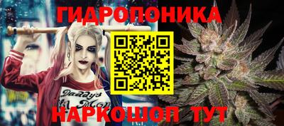 гашишное масло Сланцы