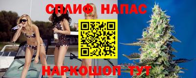 крисы Славянск-на-Кубани