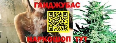 индика Славгород