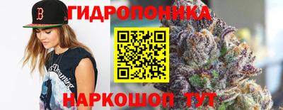 индика Славгород