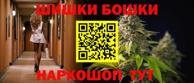 индика Славгород