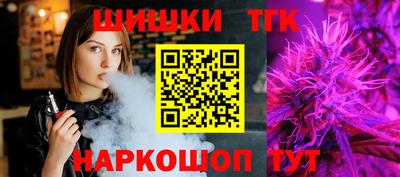 индика Славгород