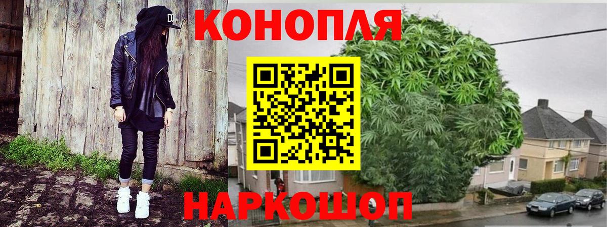 Бошки марихуана семена  Вход с VPN  Приморско-Ахтарск  Конопля VHQ  Канабис Bruce Banner 
